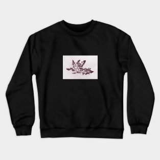 Osmundea pinnatifida Crewneck Sweatshirt